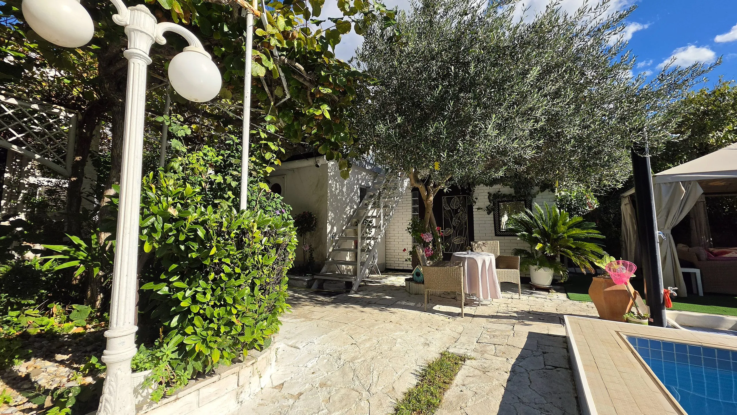Garden path with a lamp post and olive tree leading to the pool